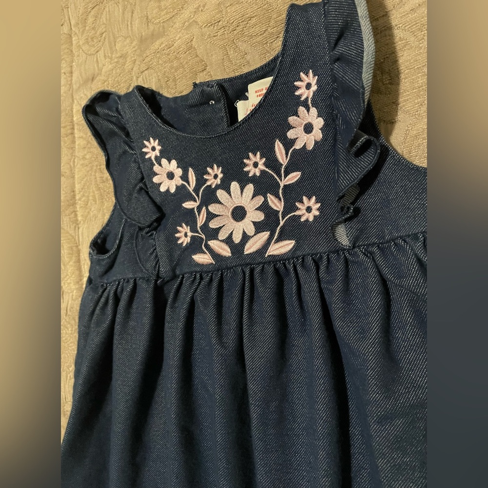 Lydia Jane Dress - Jean -24m
